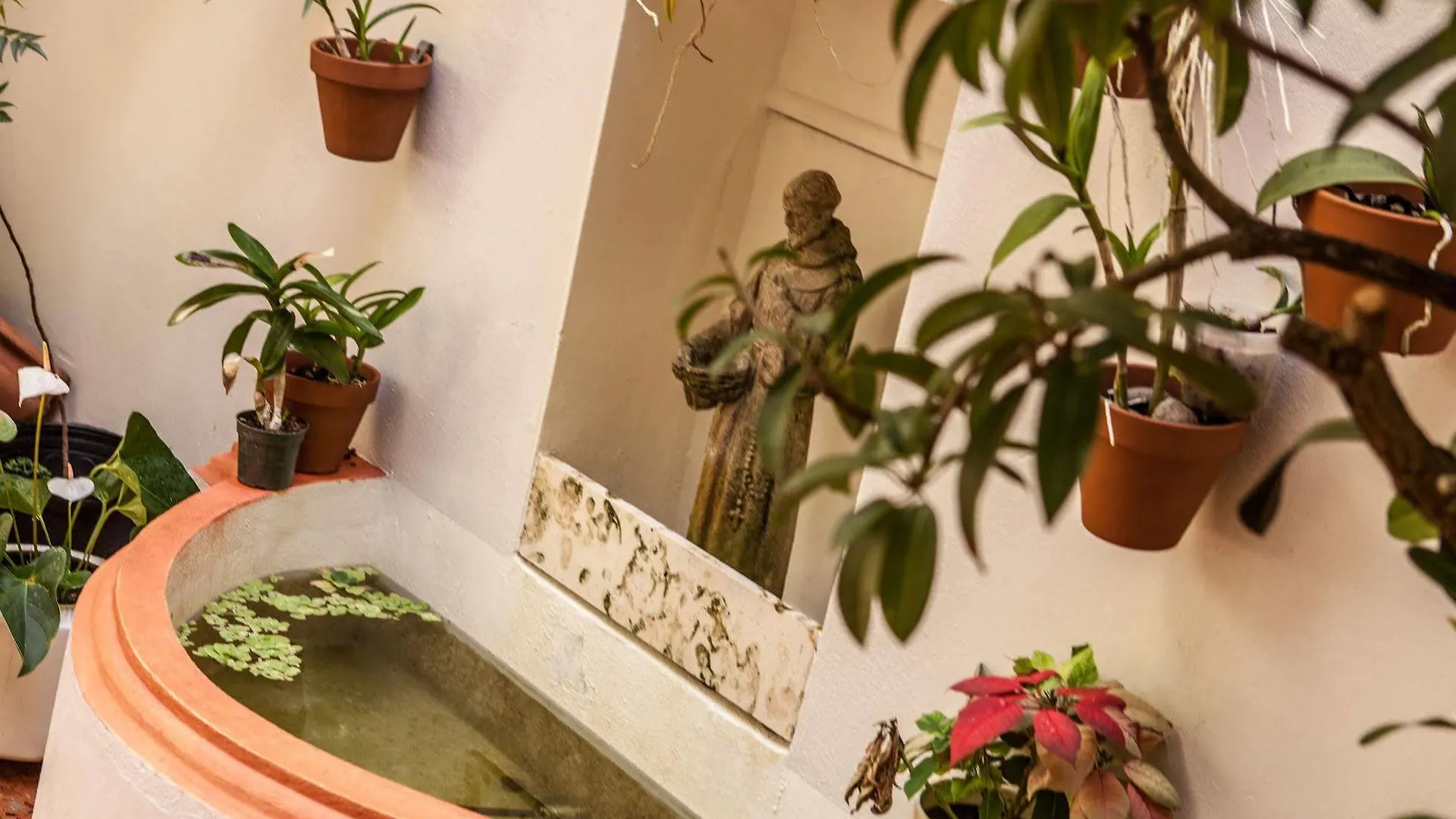 Casa Sol Bed And Breakfast San Juan
